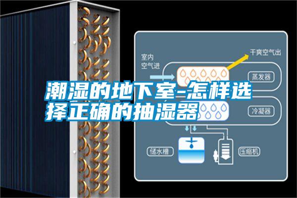 潮濕的地下室-怎樣選擇正確的抽濕器