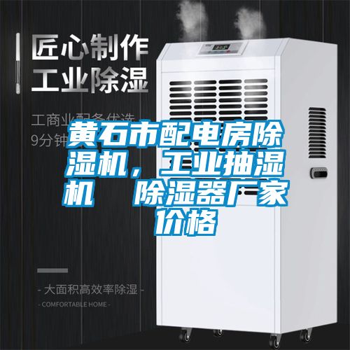 黃石市配電房除濕機(jī)，工業(yè)抽濕機(jī)  除濕器廠家 價(jià)格