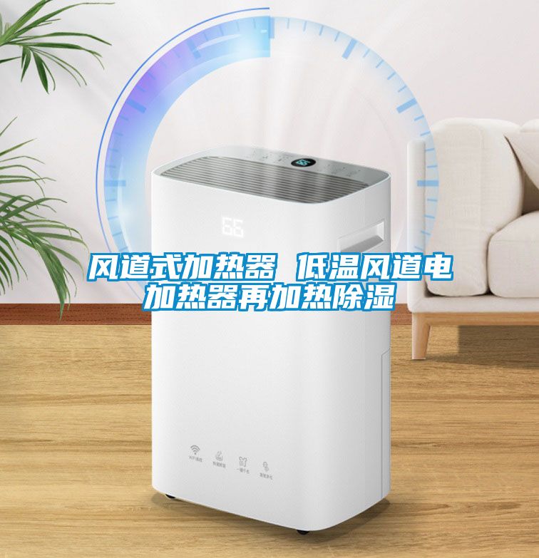 風(fēng)道式加熱器 低溫風(fēng)道電加熱器再加熱除濕