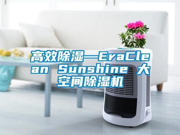 高效除濕—EraClean Sunshine 大空間除濕機(jī)